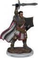 Dungeons & Dragons: Premium Painted: W7: Male Human Paladin
