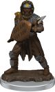 Dungeons & Dragons: Premium Painted: W7: Male Human Fighter
