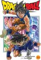 DRAGON BALL SUPER GN VOL 20