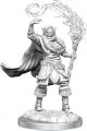 Dungeons & Dragons: W16: Elf Cleric Male